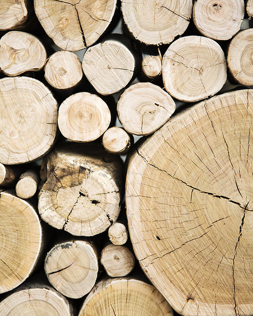 tumblr_lr4fw5ml0U1r1iyfho1_500