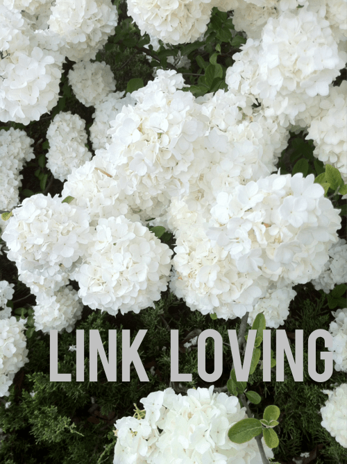 tumblr_m281uxkuZa1qiaempo1_500