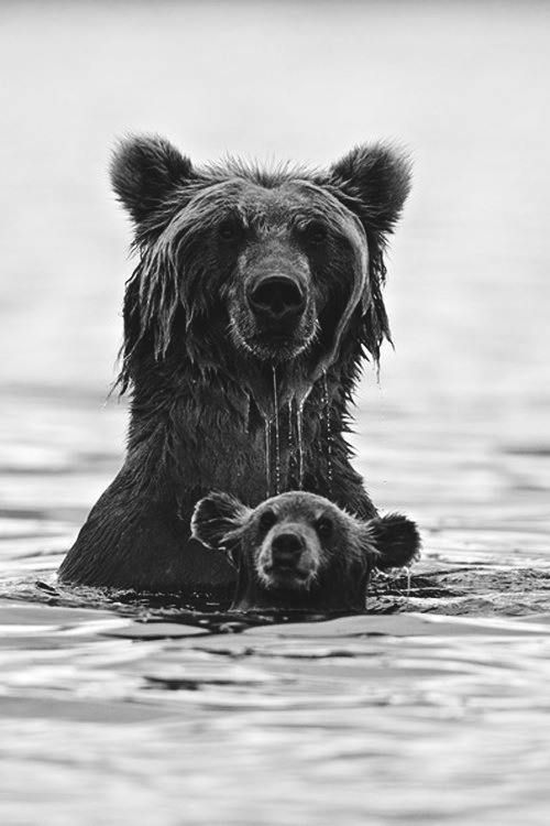 866ec7ff271cb9866547a63ab7c32eda