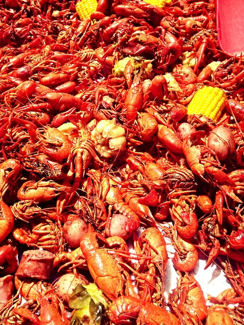 tumblr_n4b76yKXGn1skd51so1_500