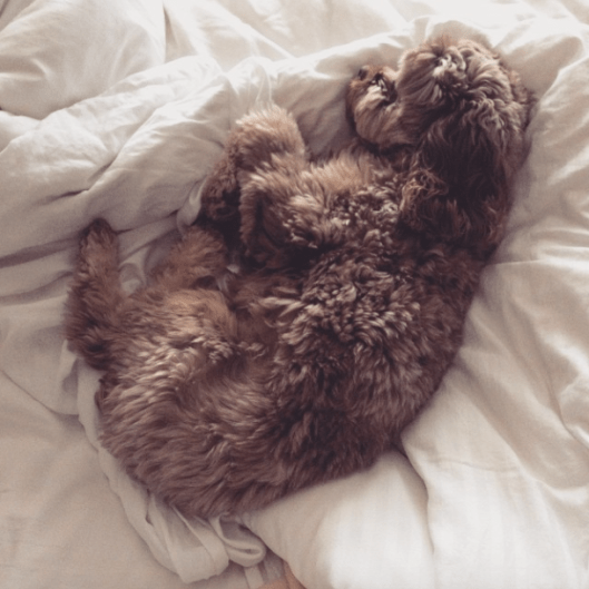 Screen Shot 2015-01-29 at 1.03.22 PM