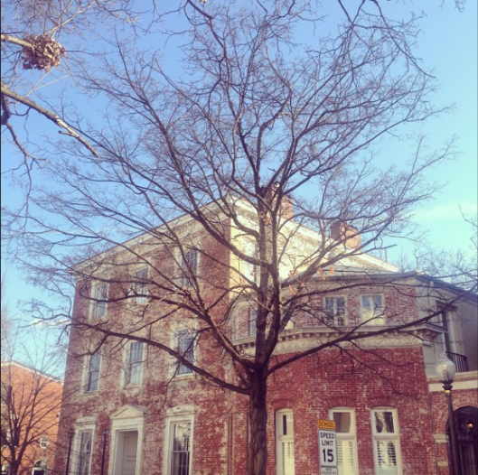 Screen Shot 2015-01-29 at 1.04.04 PM