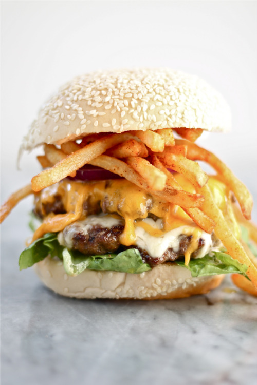 tumblr_nmvihmOGmz1sohhn2o1_500