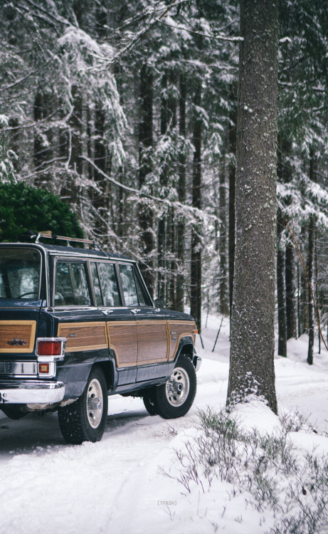 tumblr_mymk3nDNuP1qhna27o1_500 - Copy