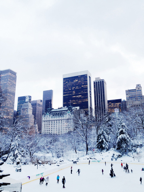 tumblr_n1q226cff81qz7u7yo1_500