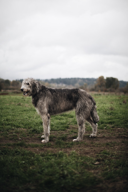 Processed with VSCOcam with a6 preset