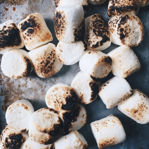 tumblr_ntcec1101C1qzt8yio1_500