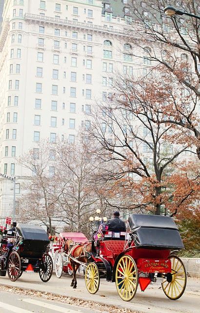 84b98100ee690edf4e4e07c1d0e02c7e