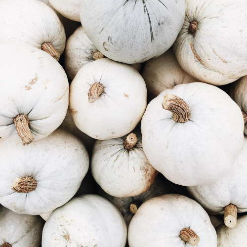 tumblr_oepj6ua4ie1rivnsyo1_500